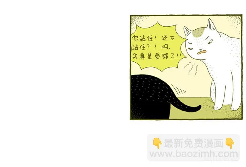 虽然只是过客 下篇 第3页