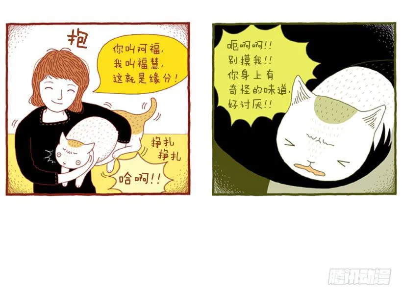 明明什么都不了解 第11页