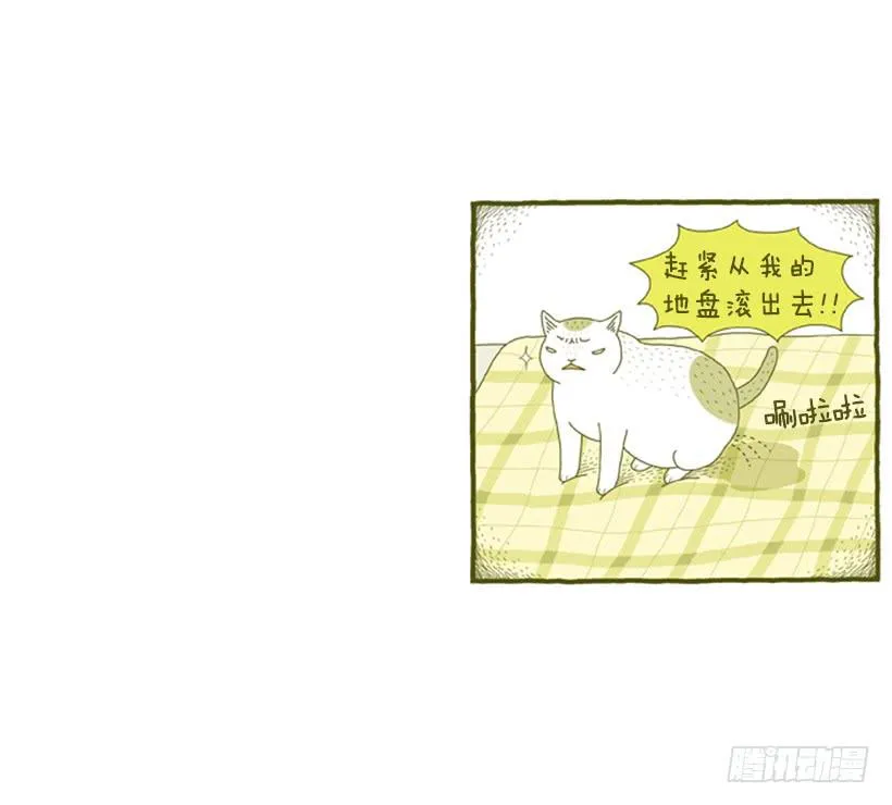 明明什么都不了解 第40页