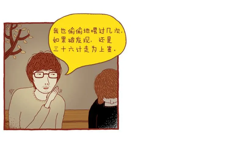 喜欢猫的女人 下篇 第11页