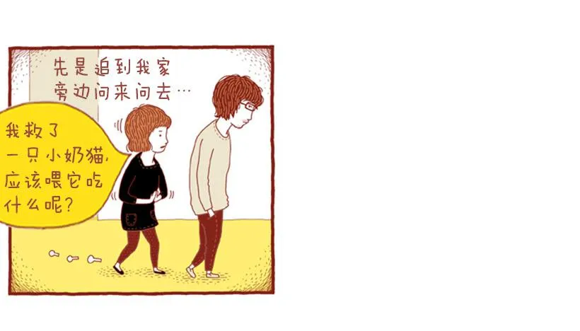 喜欢猫的女人 下篇 第43页