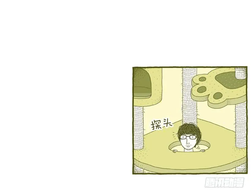 到底发生了什么事 第15页