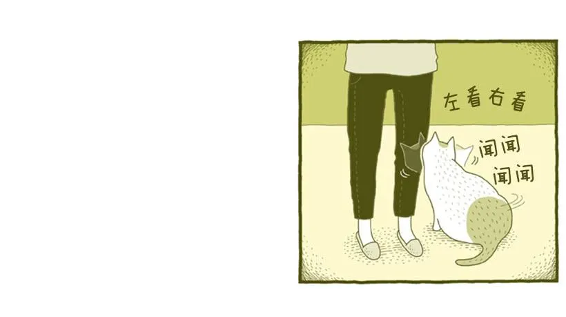 到底发生了什么事 第38页