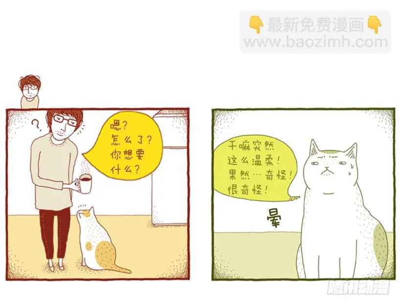 到底发生了什么事 第40页