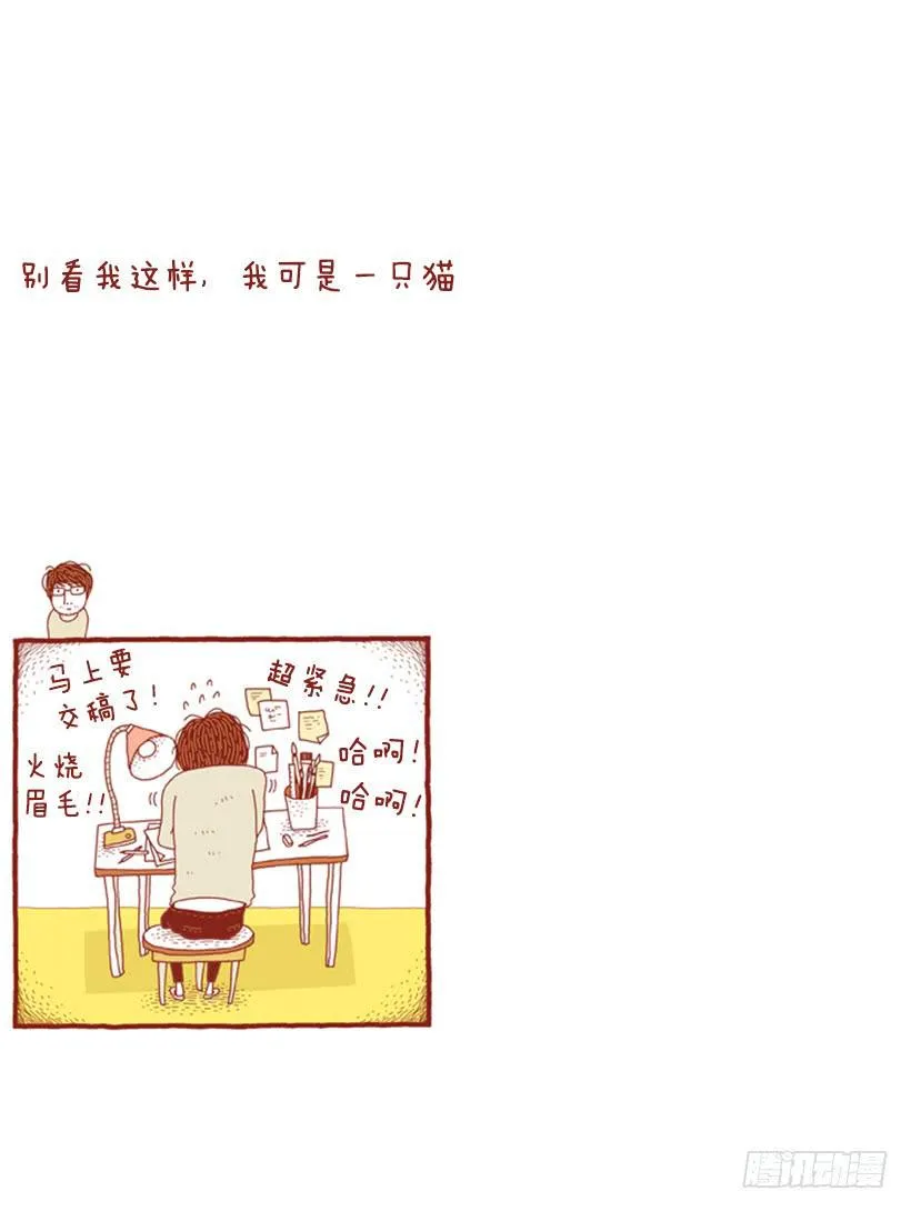 别看我这样，我可是一只猫 第2页