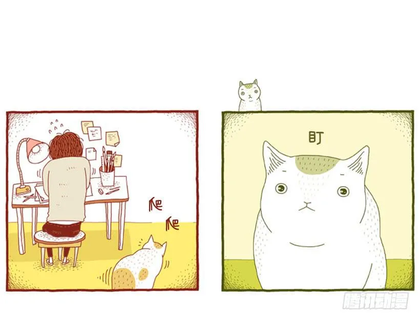 别看我这样，我可是一只猫 第3页
