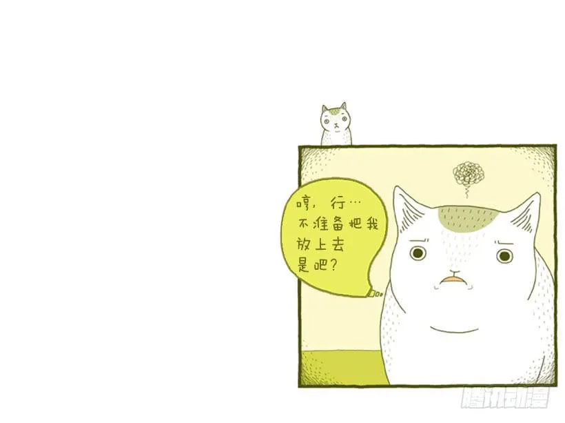 别看我这样，我可是一只猫 第6页