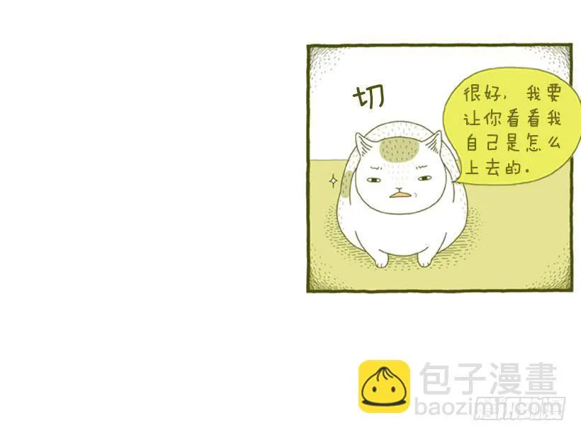 别看我这样，我可是一只猫 第7页