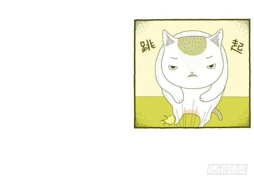 别看我这样，我可是一只猫 第10页