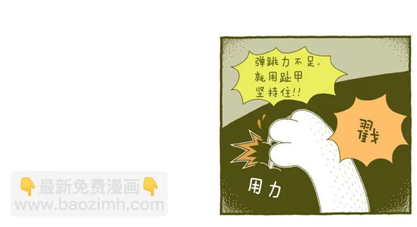 别看我这样，我可是一只猫 第12页