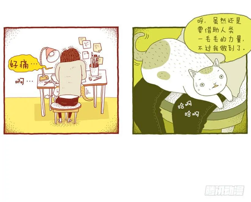 别看我这样，我可是一只猫 第14页