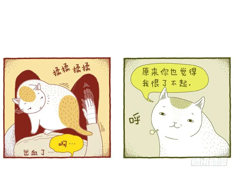 别看我这样，我可是一只猫 第15页