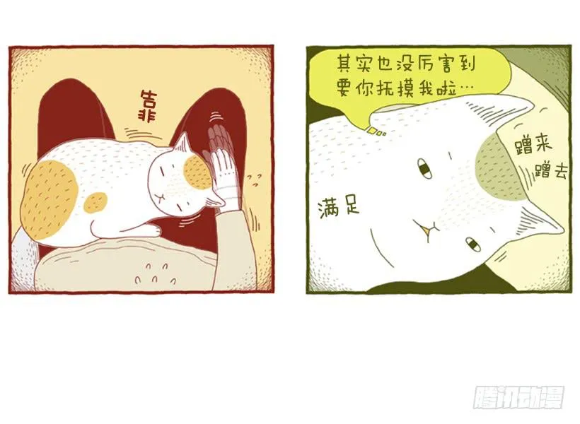 别看我这样，我可是一只猫 第16页