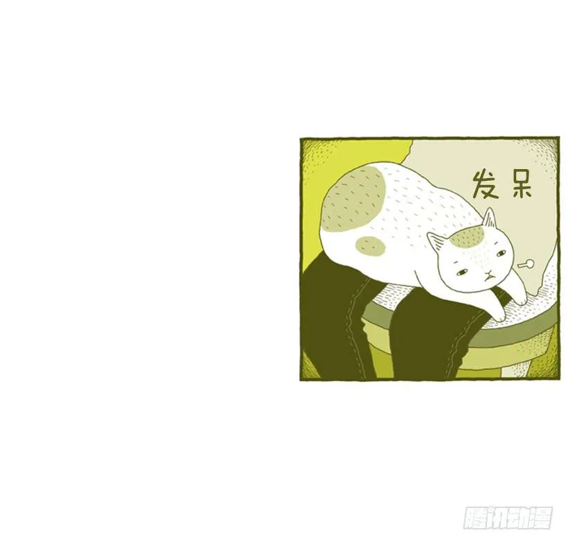 别看我这样，我可是一只猫 第17页