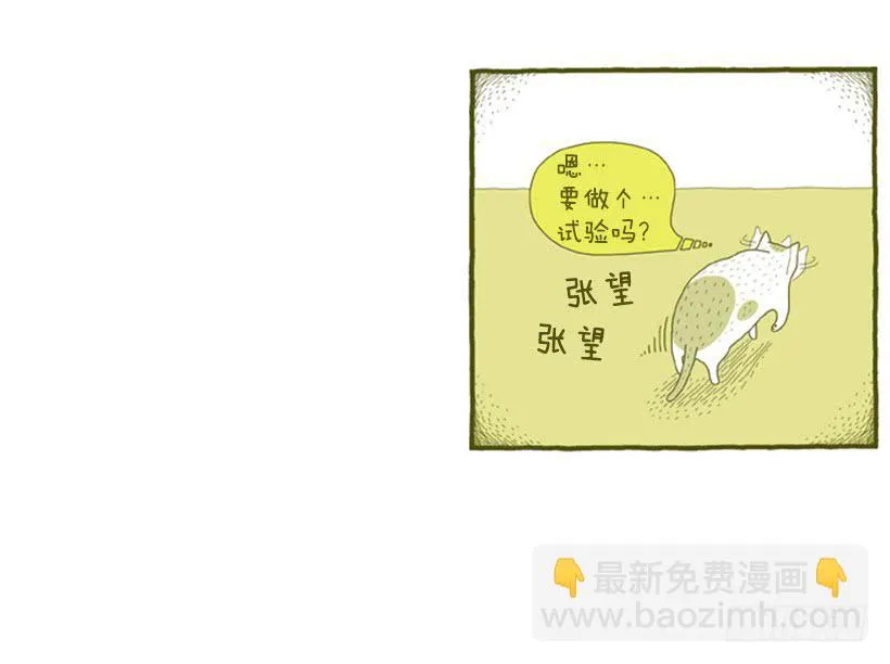 别看我这样，我可是一只猫 第20页