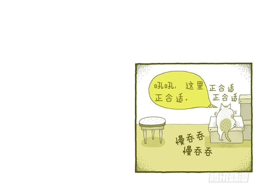 别看我这样，我可是一只猫 第23页