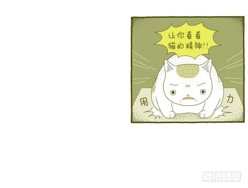 别看我这样，我可是一只猫 第25页