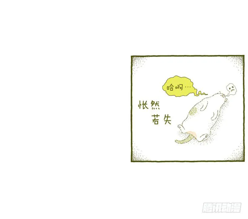 别看我这样，我可是一只猫 第33页