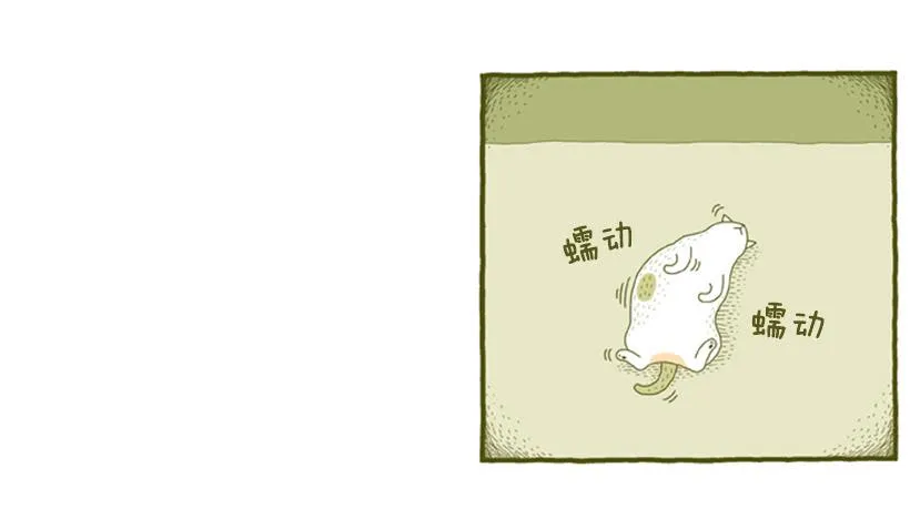 别看我这样，我可是一只猫 第36页