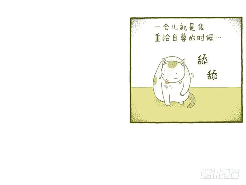 别看我这样，我可是一只猫 第38页