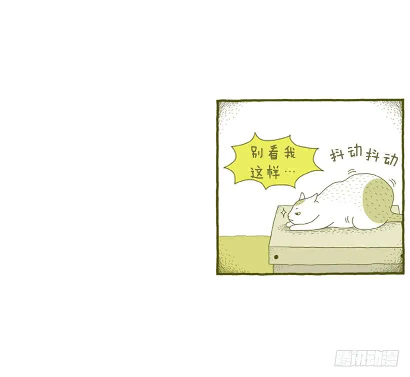 别看我这样，我可是一只猫 第40页