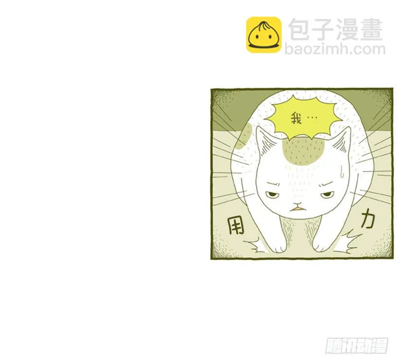 别看我这样，我可是一只猫 第41页