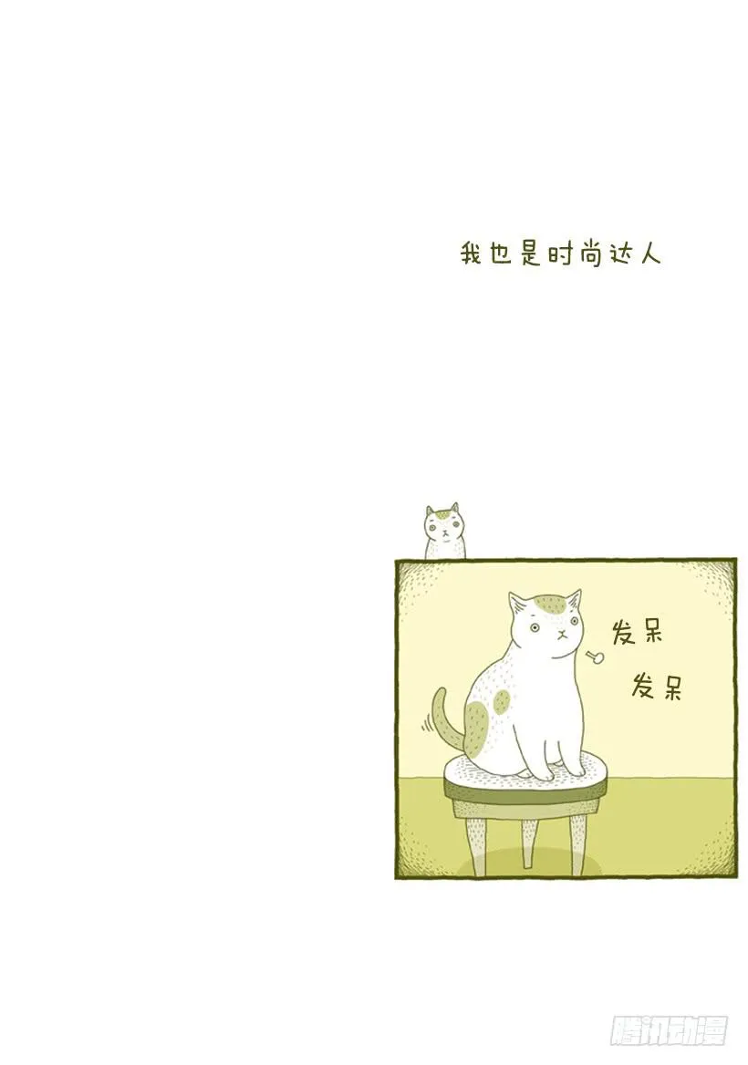 我也是时尚达人 第2页