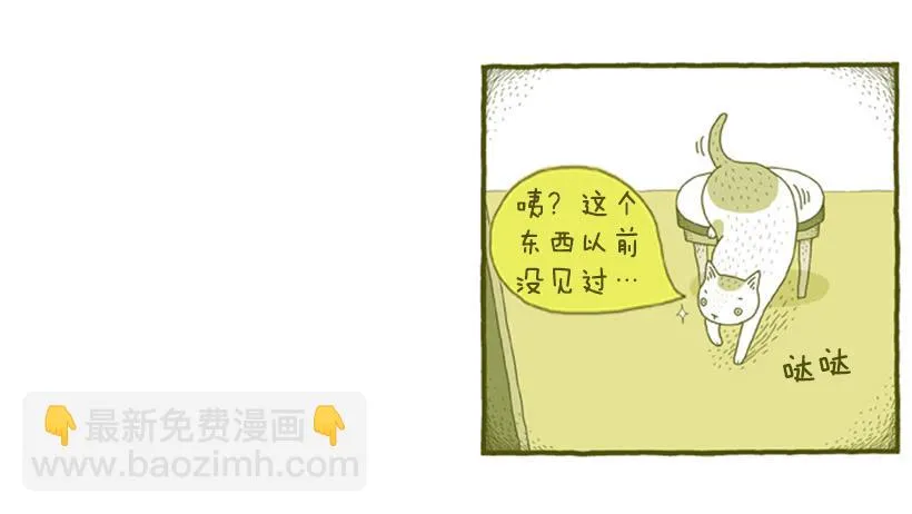 我也是时尚达人 第4页