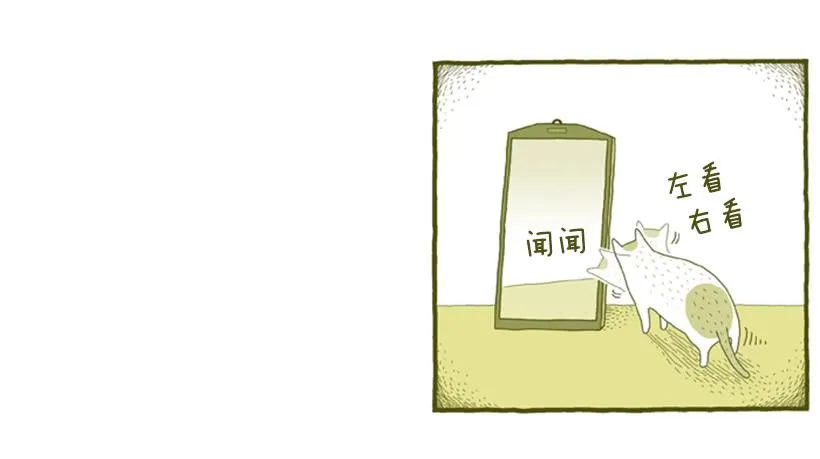 我也是时尚达人 第5页