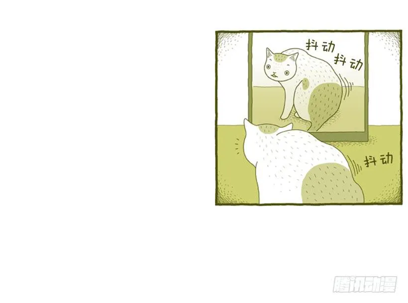 我也是时尚达人 第13页