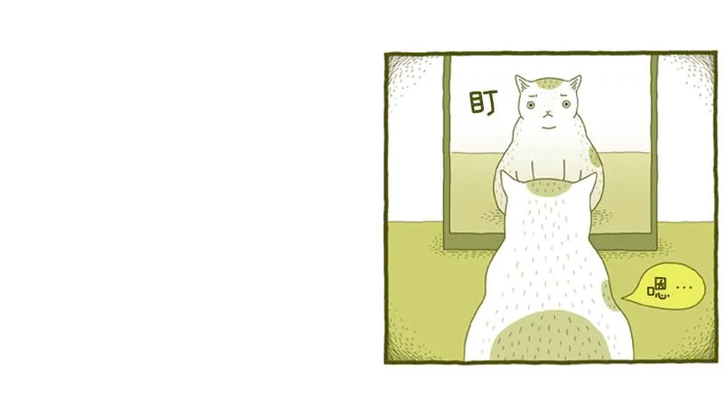 我也是时尚达人 第21页