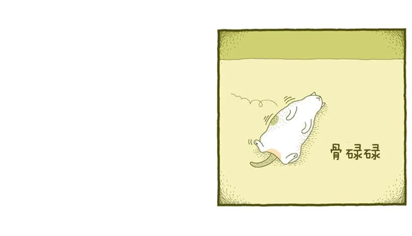 我也是时尚达人 第29页