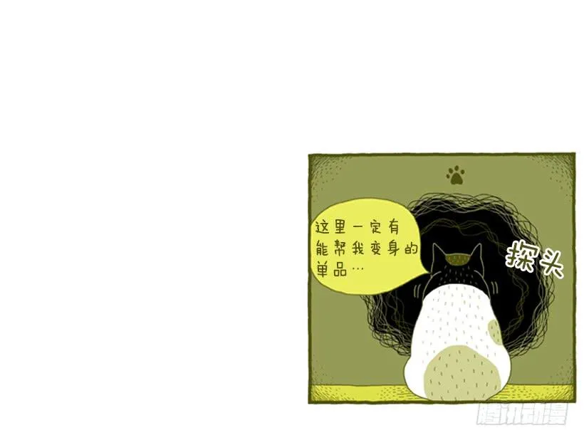 我也是时尚达人 第34页