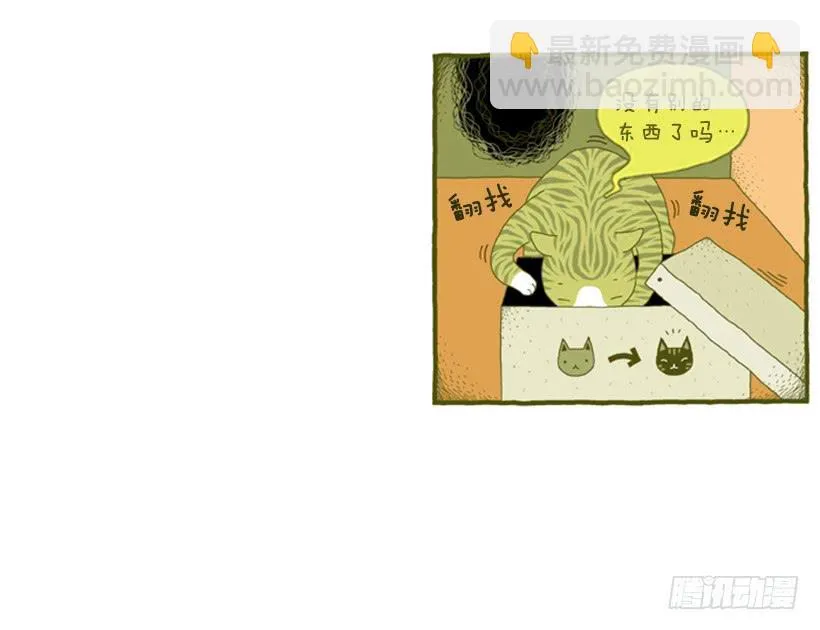 我也是时尚达人 第41页