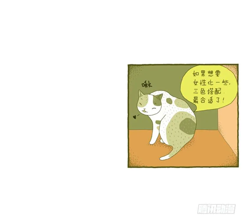 我也是时尚达人 第43页
