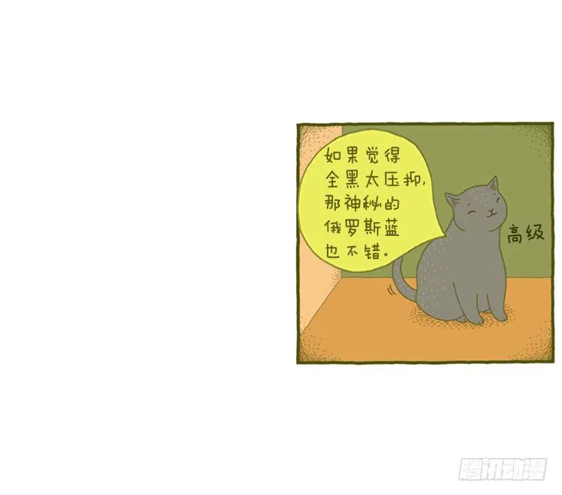 我也是时尚达人 第45页