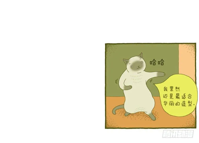 我也是时尚达人 第47页