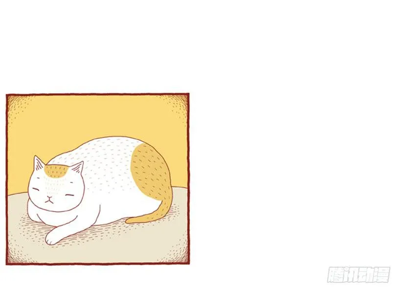 明天开始减肥 第11页