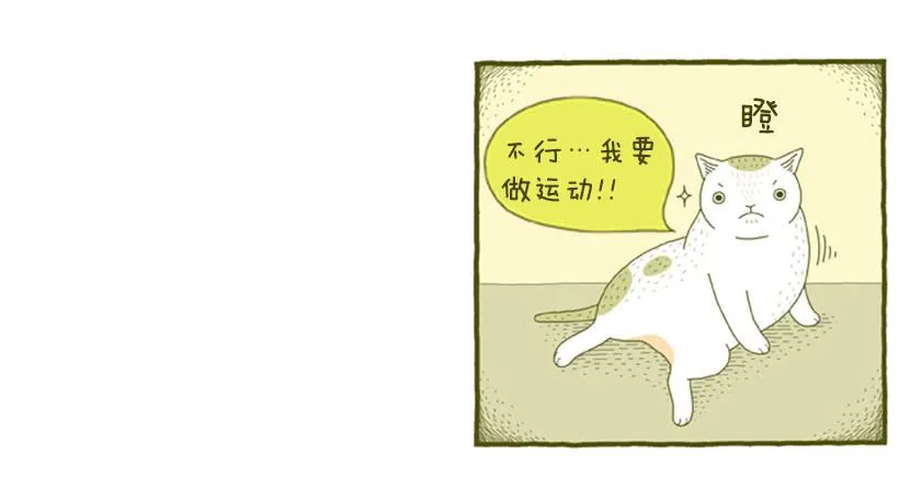 明天开始减肥 第26页