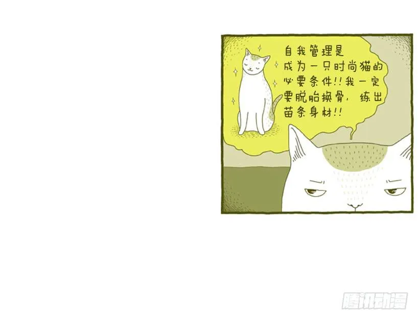 明天开始减肥 第27页