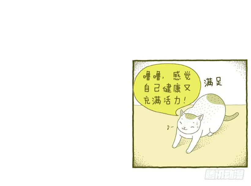 明天开始减肥 第34页