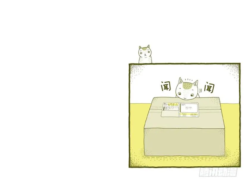 好奇害死猫 第14页