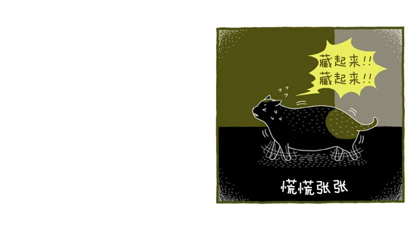 好奇害死猫 第27页