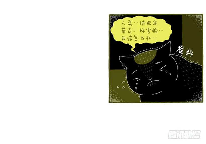 好奇害死猫 第33页