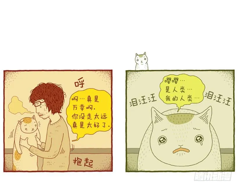 好奇害死猫 第41页