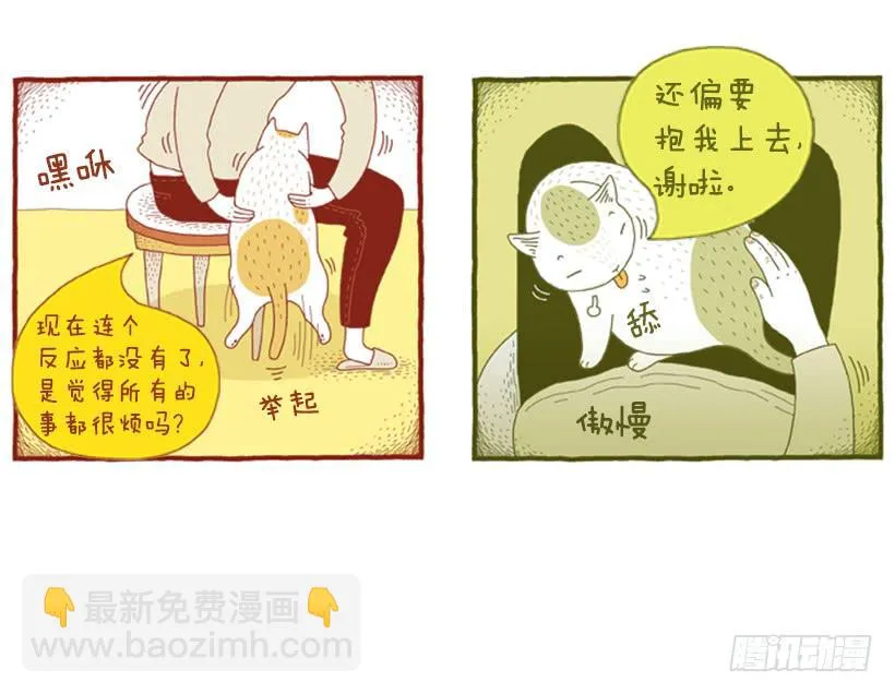 求关注 第7页