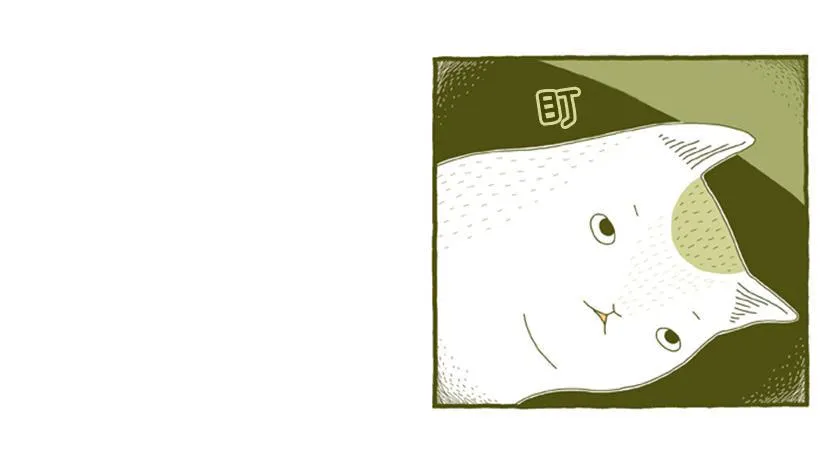 求关注 第9页