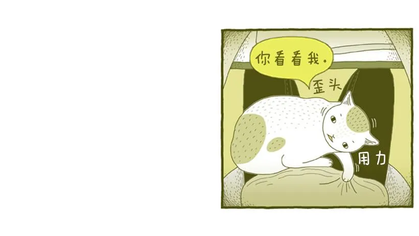 求关注 第10页