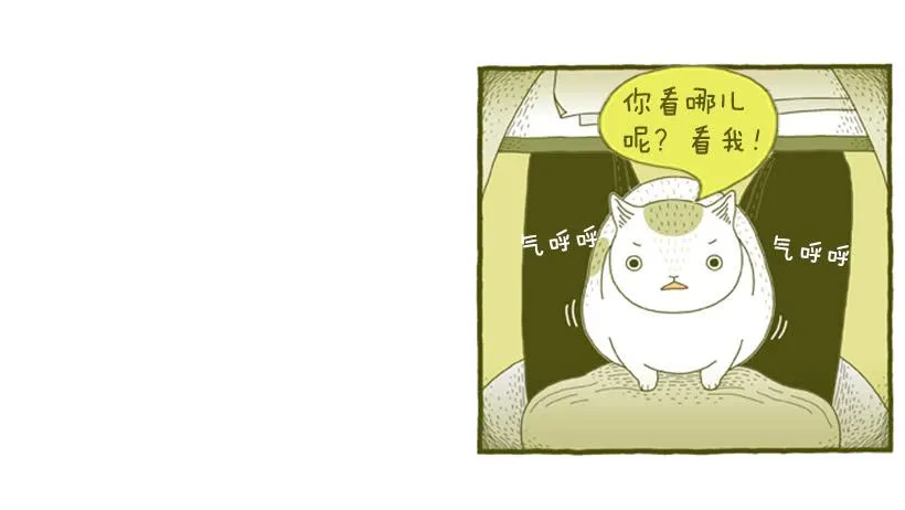 求关注 第11页
