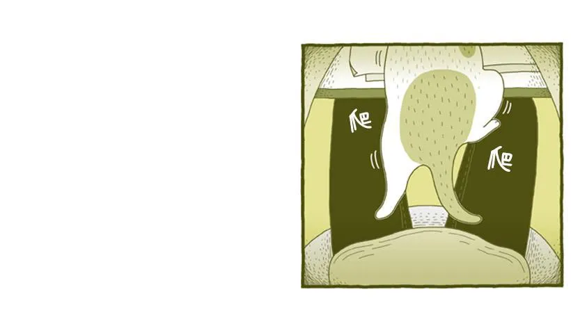 求关注 第12页